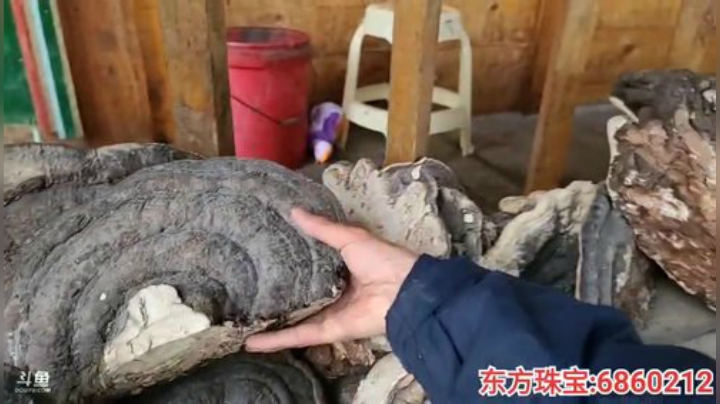 纪实直播;理塘到拉萨73天→西藏墨脱县 2020-06-06 18点场