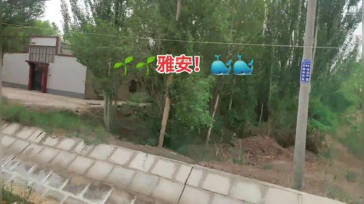 ぷ我就是我不一样的平凡！ぷ↑！ 2020-05-31 10点场