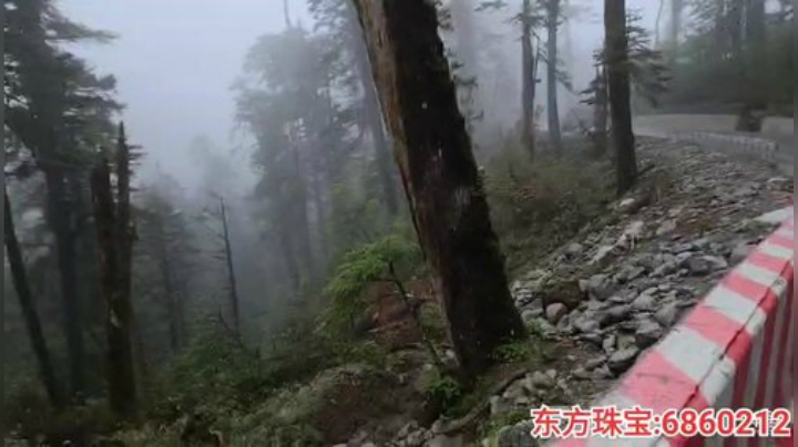 纪实直播;理塘到拉萨73天→西藏墨脱县 2020-06-06 16点场