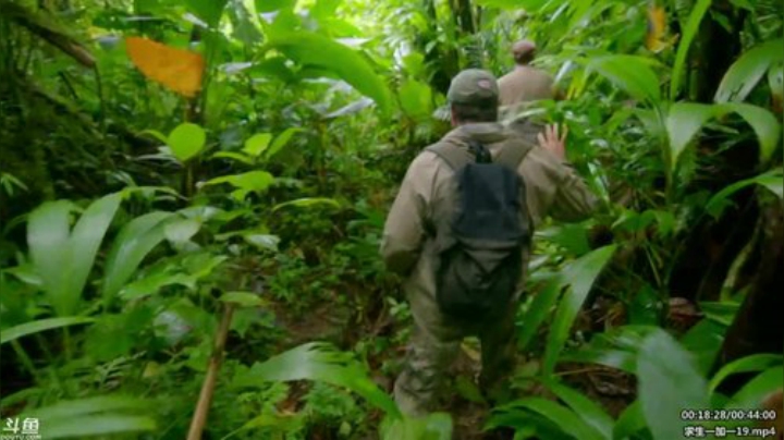 静思世语发布了一个斗鱼视频2020-06-06