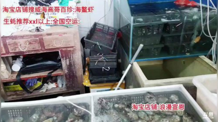 龙马精神丶老狼哥发布了一个斗鱼视频2020-06-06