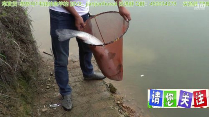 我在斗鱼看贱贱钓鱼直播户外