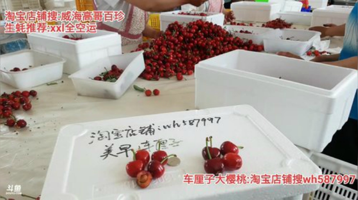 西北老狼哥哥发布了一个斗鱼视频2020-06-07