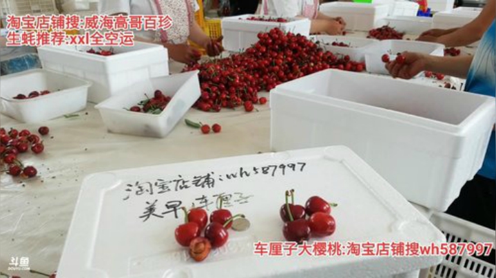 西北老狼哥哥发布了一个斗鱼视频2020-06-07