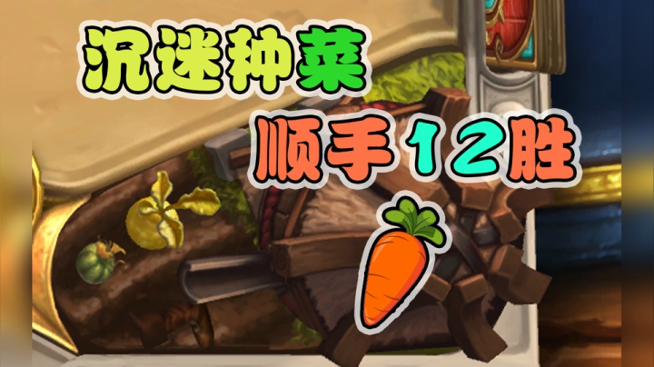 种菜教学，插播12胜——战12