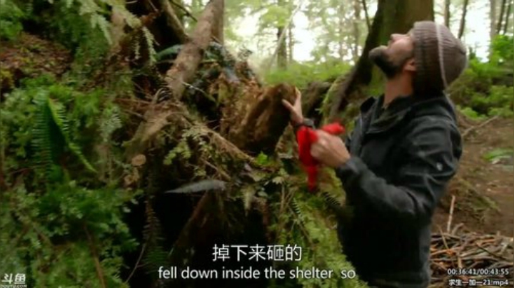 静思世语发布了一个斗鱼视频2020-06-07