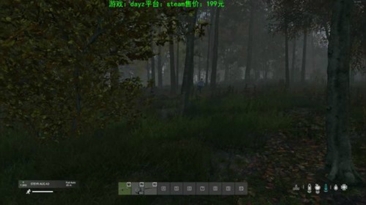 dayz (养生直播开启） 2020-06-04 23点场