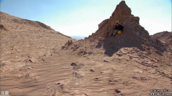 户外遛狗王飞哥发布了一个斗鱼视频2020-06-08