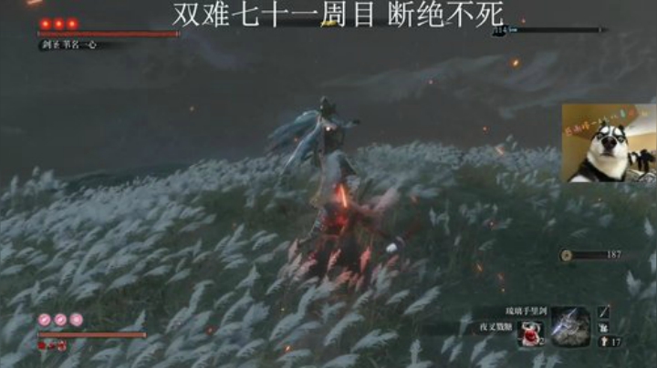 双难无伤剑圣