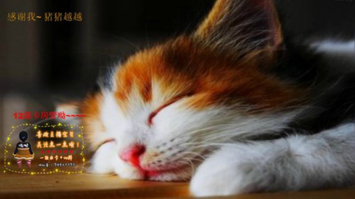 房间现在有签到了呦~ 2020-06-08 00点场