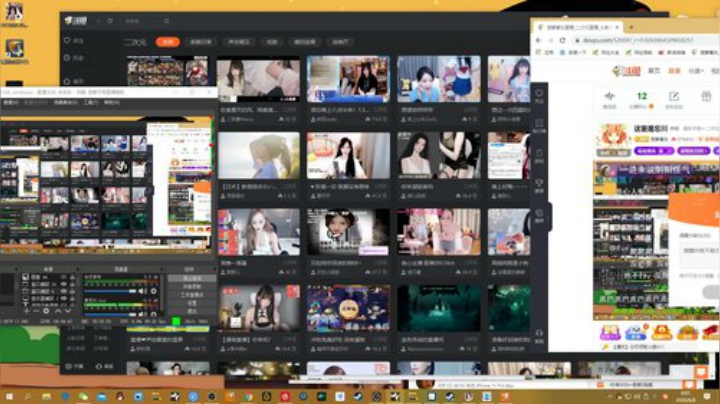 我在斗鱼看菠萝赛东直播二次元