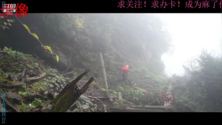 纪实直播;理塘到拉萨74天→西藏墨脱县 2020-06-09 03点场