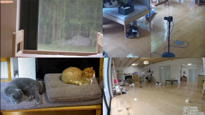 HHHISHHH发布了一个斗鱼视频2020-06-09