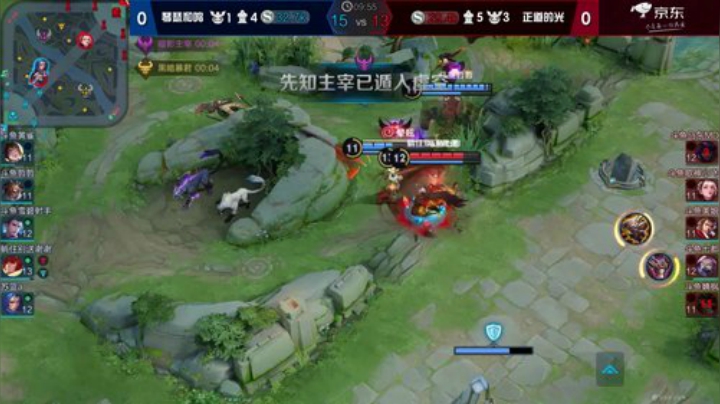 京东热爱杯—王者荣耀对抗赛_Day 3_琴瑟和鸣vs正道的光