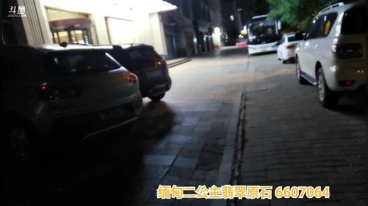 我在斗鱼看火力堂主直播户外