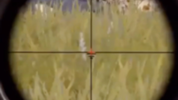 麦丽素叮叮发布了一个斗鱼视频2020-06-09