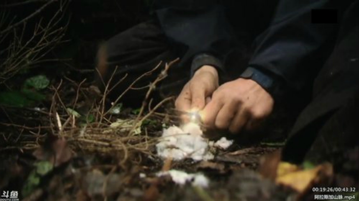 静思世语发布了一个斗鱼视频2020-06-10