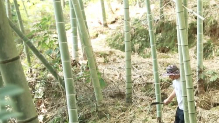 我在斗鱼看野食小哥直播美食