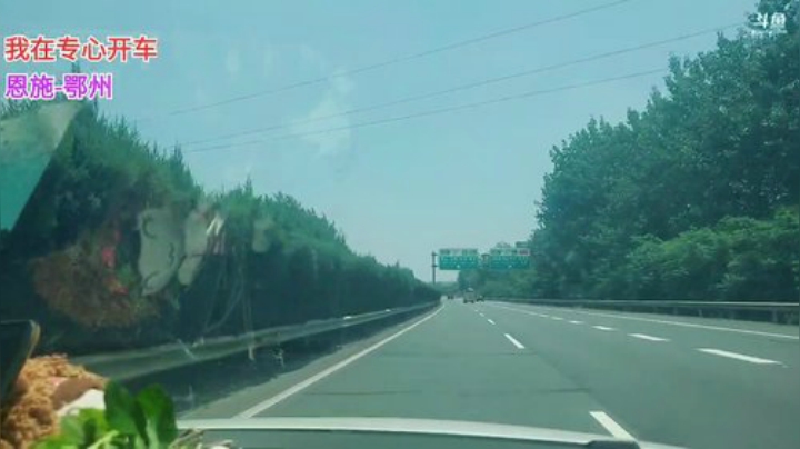 快马加鞭 送桂花回鄂州 2020-06-08 11点场