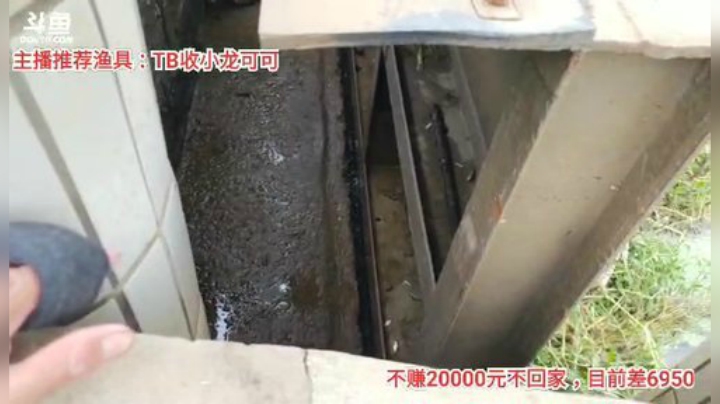 十一郎君01发布了一个斗鱼视频2020-06-10