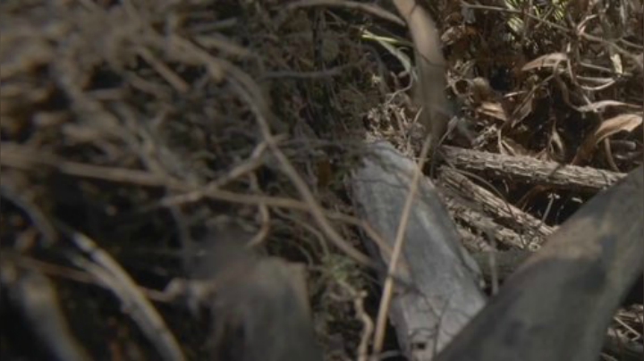 哆啦爱梦梦发布了一个斗鱼视频2020-06-11