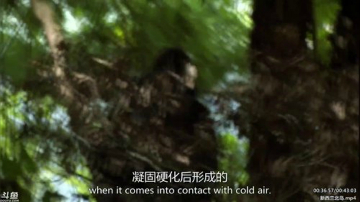 护法惊丶发布了一个斗鱼视频2020-06-11