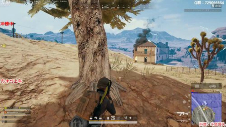 馒头：快祝我六一快乐！ 2020-06-02 02点场