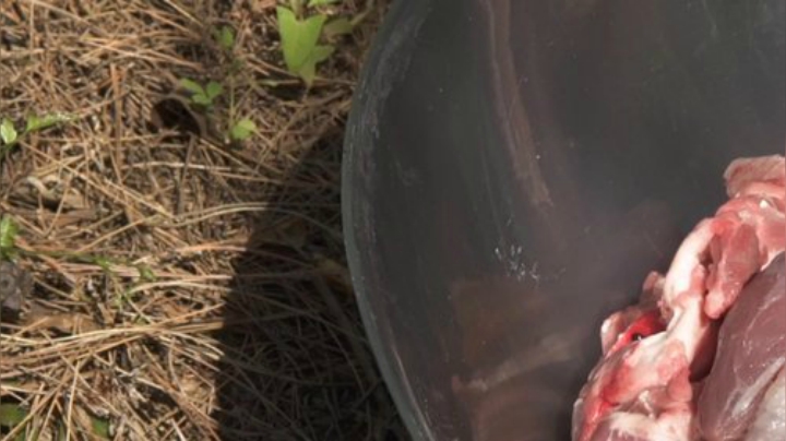 哆啦爱梦梦发布了一个斗鱼视频2020-06-11