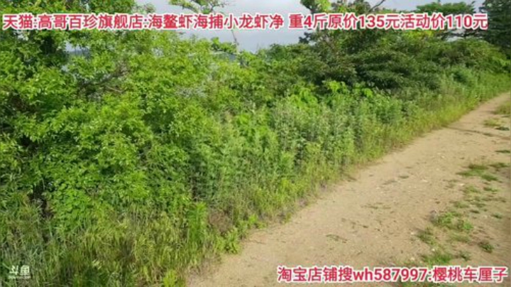 西北老狼哥哥发布了一个斗鱼视频2020-06-11