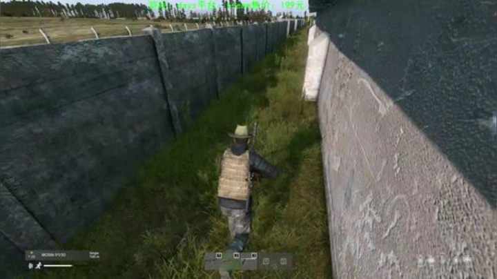 dayz (养生直播开启） 2020-06-11 18点场