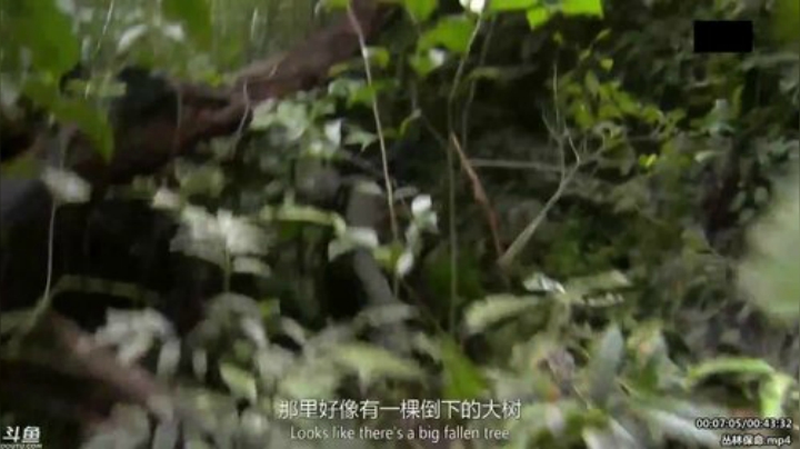 静思世语发布了一个斗鱼视频2020-06-12