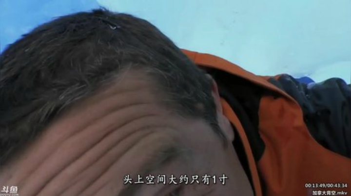 户外遛狗王飞哥发布了一个斗鱼视频2020-06-12