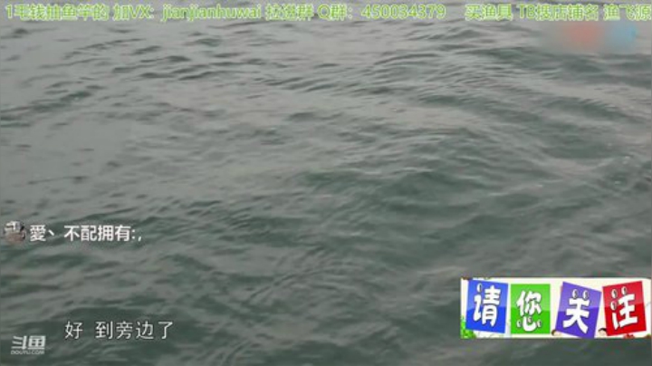 我在斗鱼看贱贱钓鱼直播户外