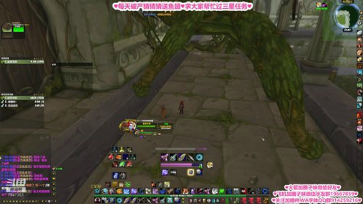 比格沃斯❤不会玩儿法师的狂暴战不是好猎人 2020-06-11 17点场