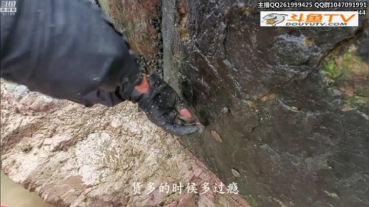 胖胖OB：直播 永远的神\手子哥 2020-06-12 02点场