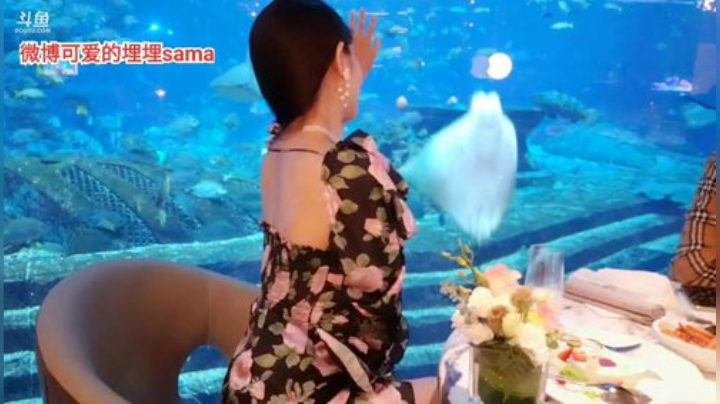 我在斗鱼看可爱的埋埋直播二次元