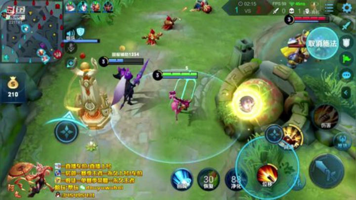 我在斗鱼看渝万五百狸子3岁直播王者荣耀