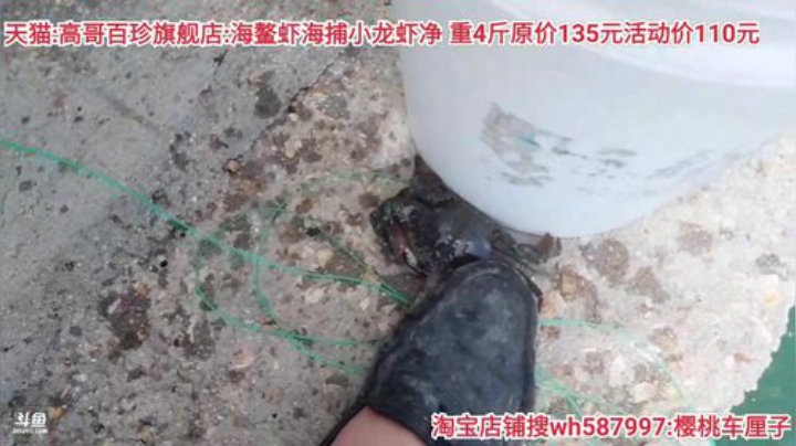 西北老狼哥哥发布了一个斗鱼视频2020-06-13