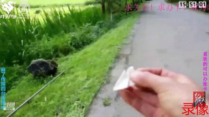 纪实直播;理塘到拉萨79天→西藏拉萨 2020-06-13 06点场