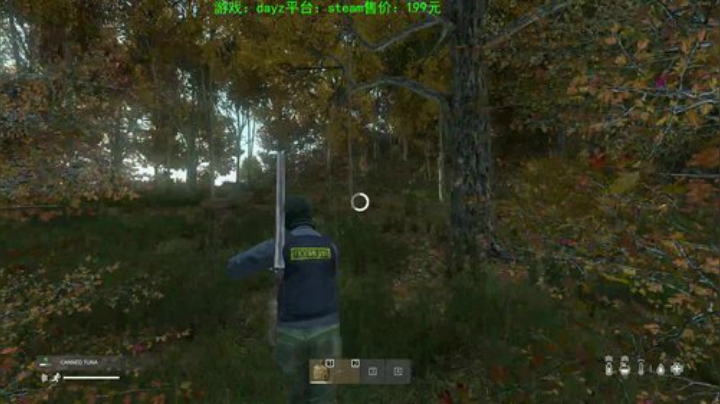dayz (养生直播开启） 2020-06-12 22点场