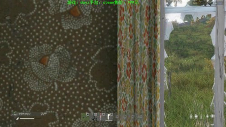 dayz (养生直播开启） 2020-06-13 21点场