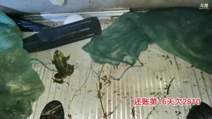 户外还账第17天欠账2810 2020-06-13 23点场