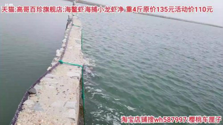 西北老狼哥哥发布了一个斗鱼视频2020-06-15