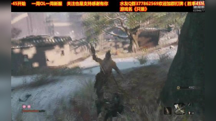 小猫咪不想听这些 2020-06-15 04点场