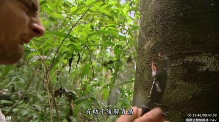 静思世语发布了一个斗鱼视频2020-06-15