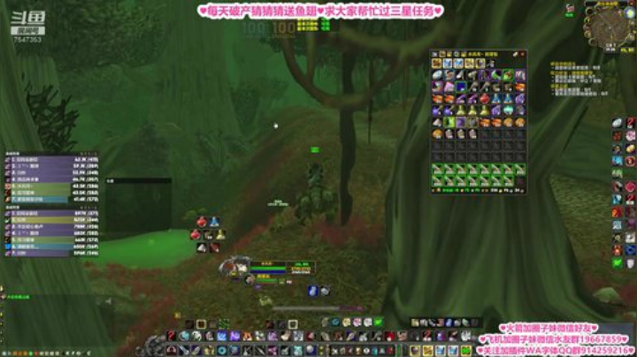比格沃斯❤今晚8点猫服部落竞速猎人视角 2020-06-14 18点场