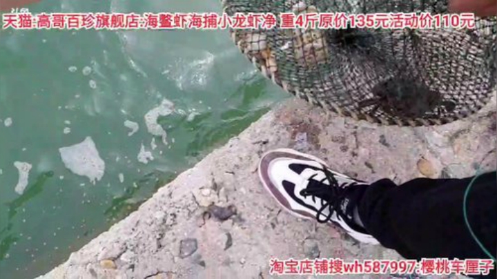 西北老狼哥哥发布了一个斗鱼视频2020-06-15