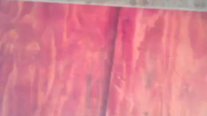 户外求生，搭建庇护所[鲨鱼反向烟]