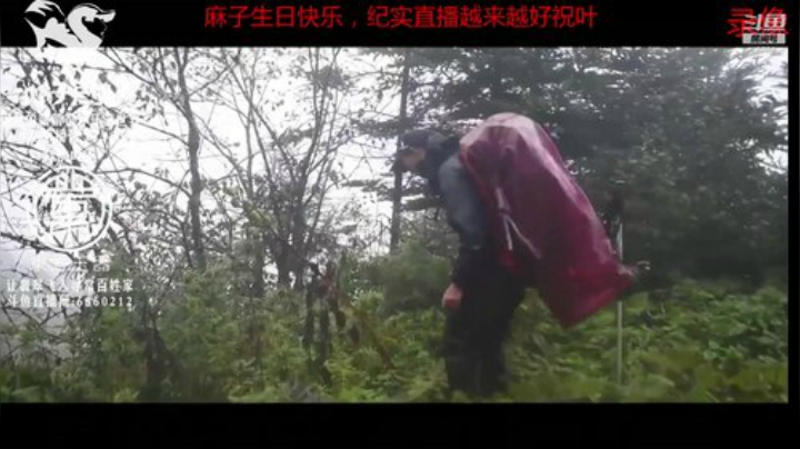 中午12点准时开播 2020-06-16 02点场