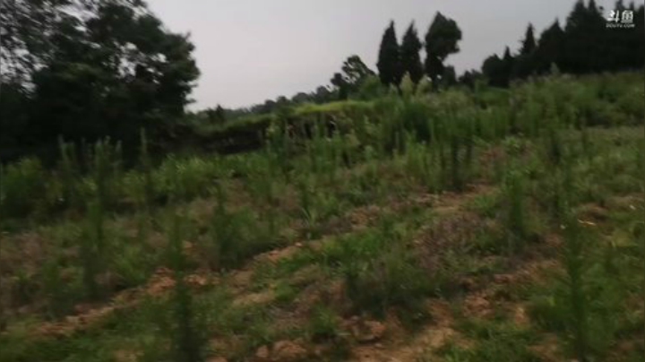 《荒野厨房》之流星排骨 2020-06-16 19点场